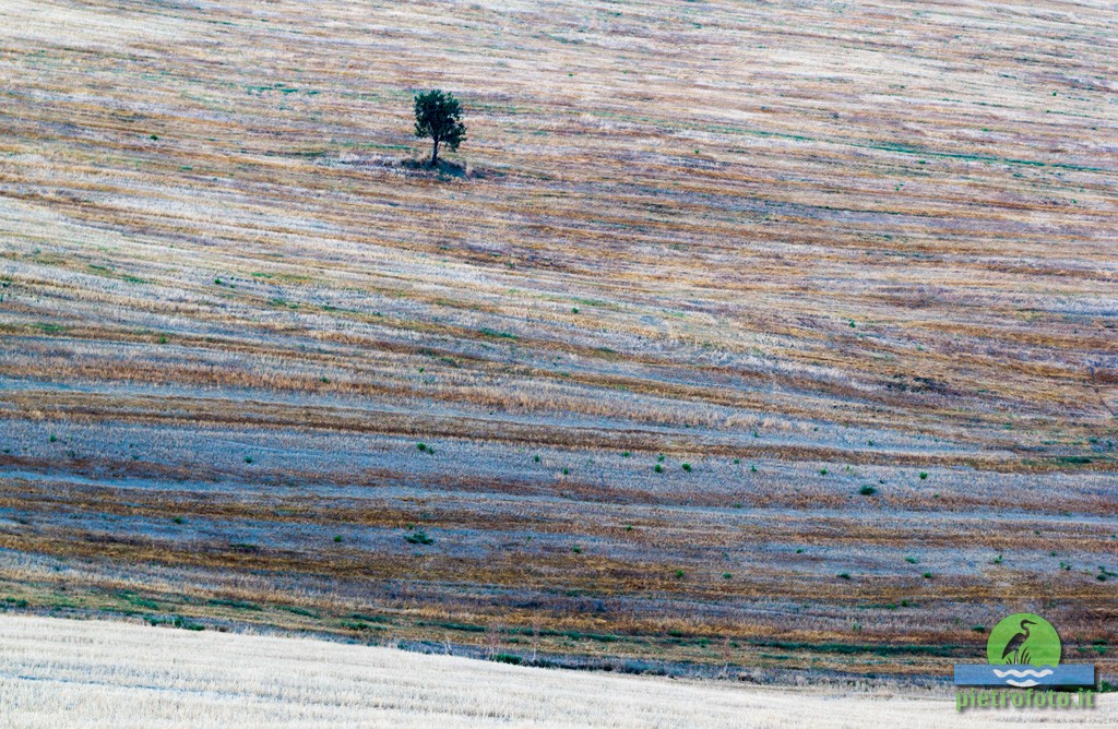 Val D'Orcia