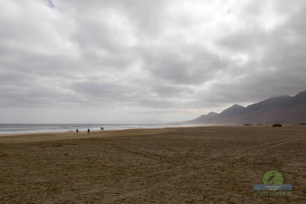 Fuerteventura