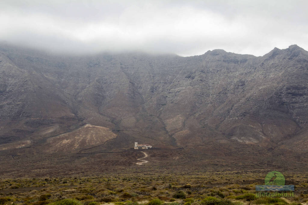 Fuerteventura