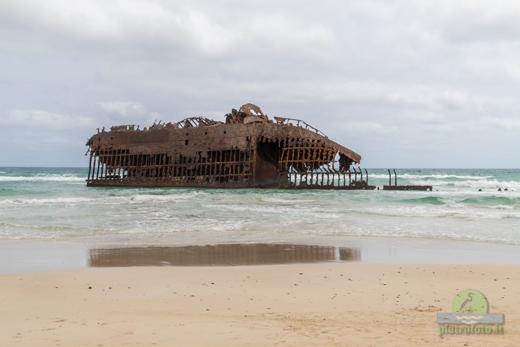 boa vista shipwreck