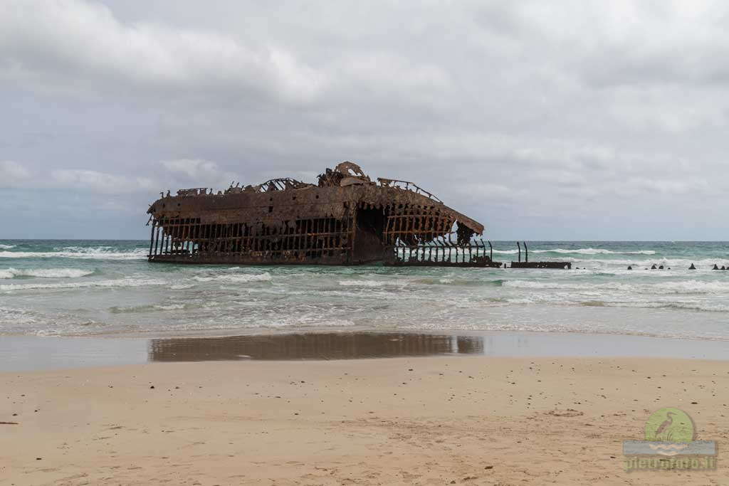 boa vista shipwreck