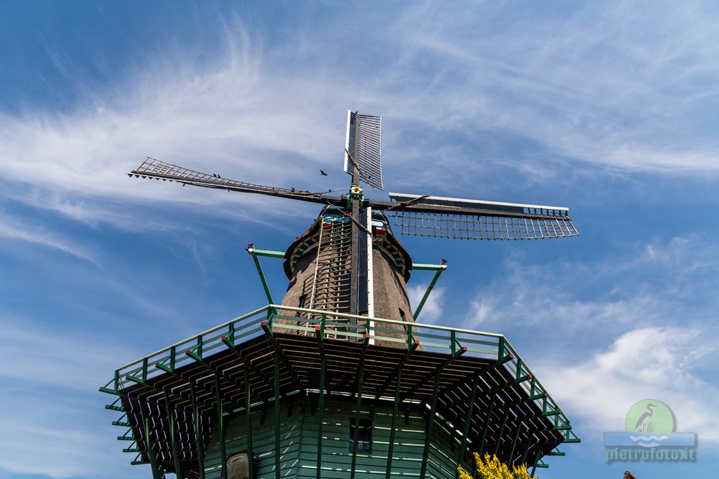 zaanse schans windmills