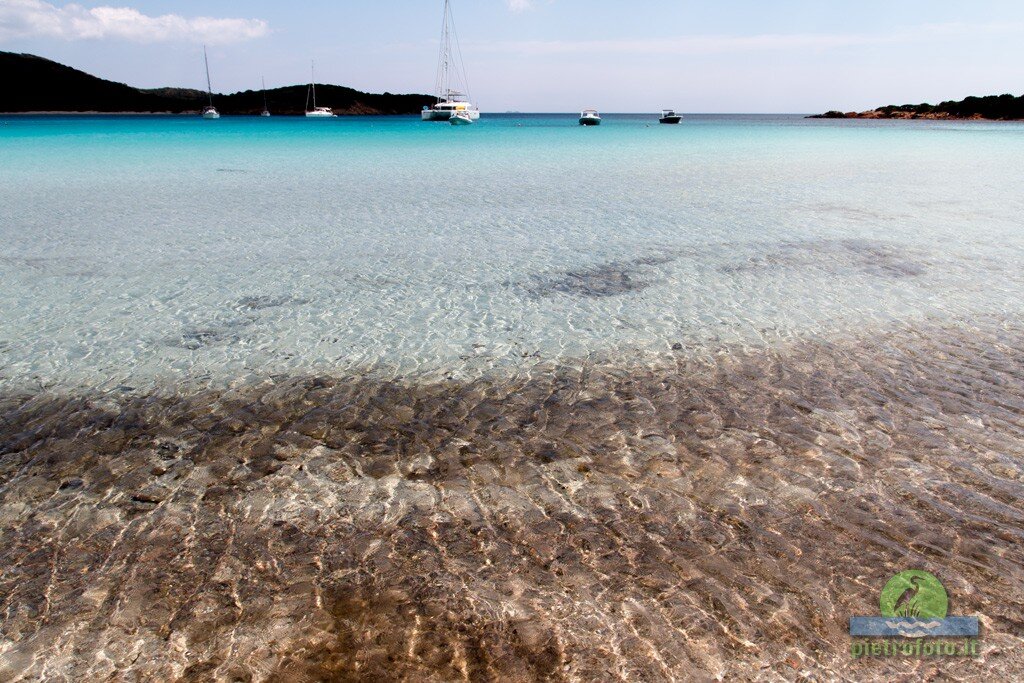 Beach in Corse