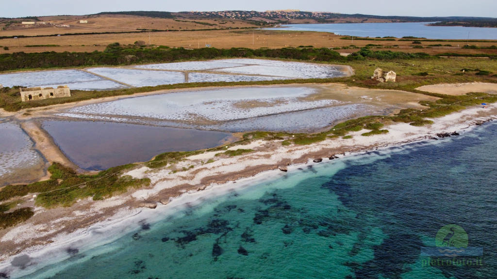 La spiaggia della saline dal drone