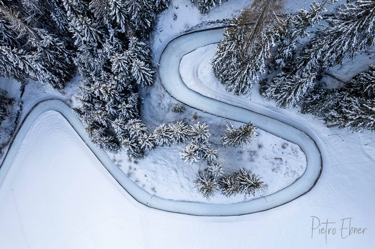 Bird's eye by drone of trees in the snow