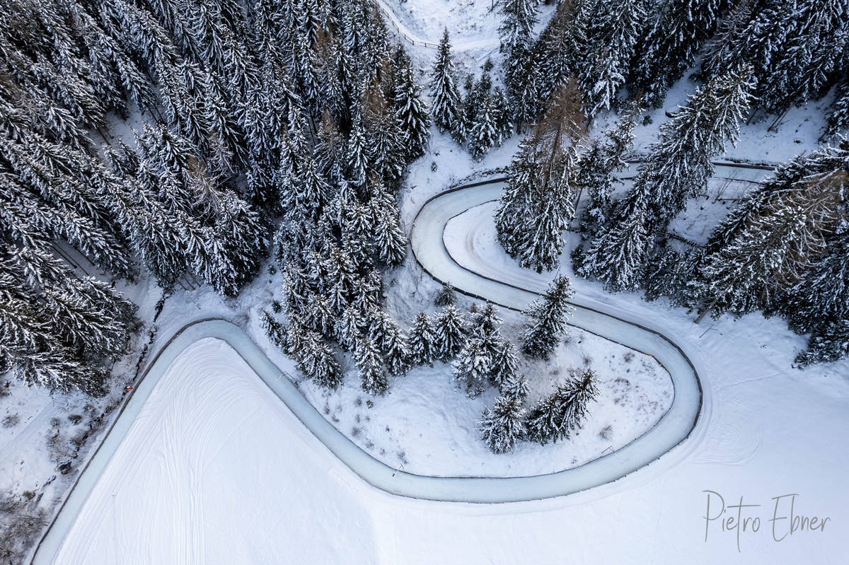 alberi dall alto sulla neve