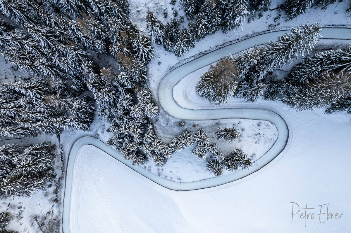 alberi dall alto sulla neve