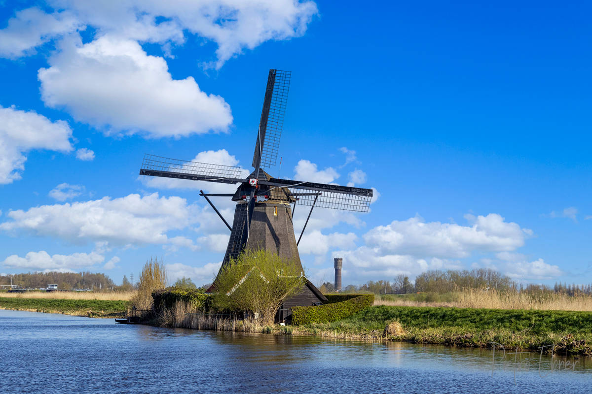 Kinderdijk windmills