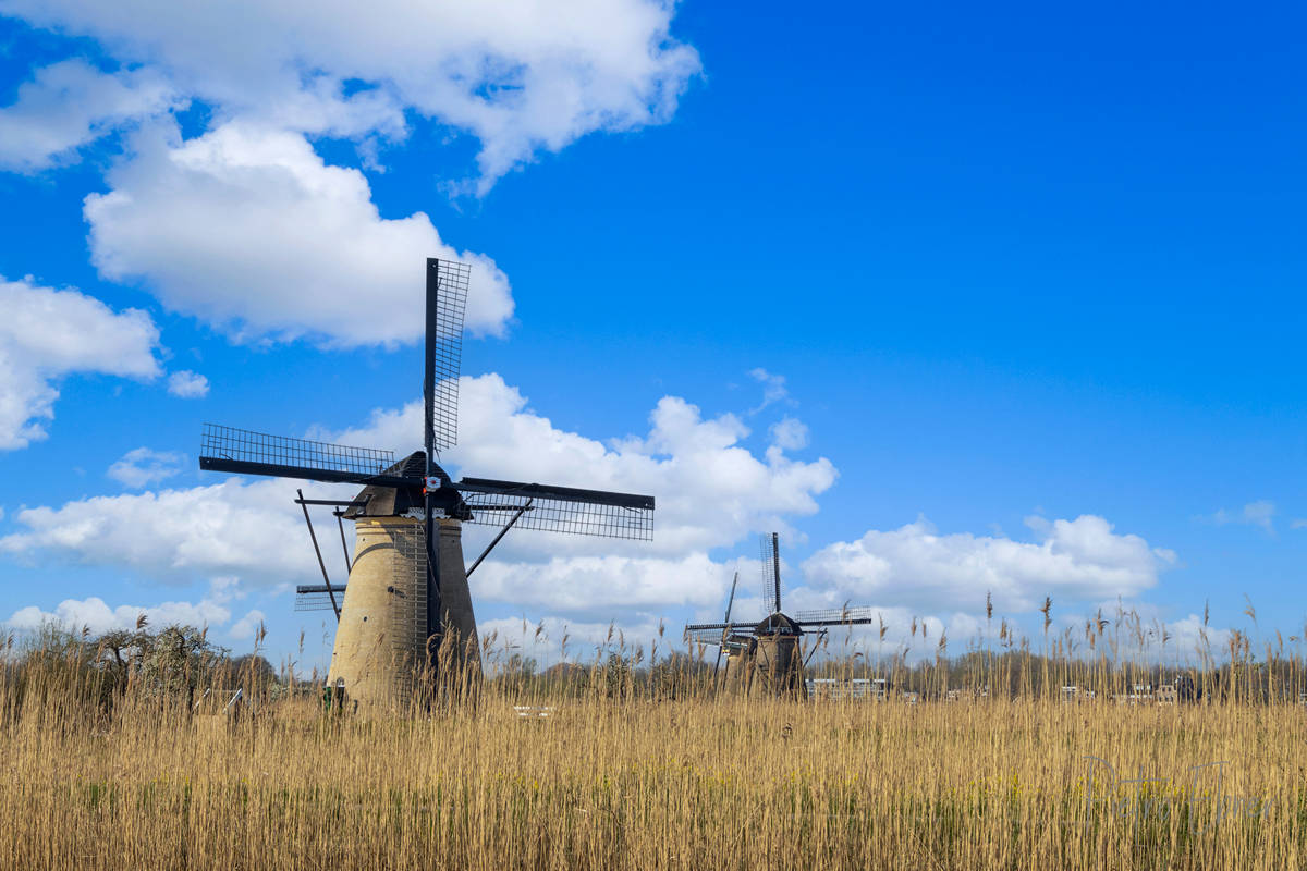 Kinderdijk windmills