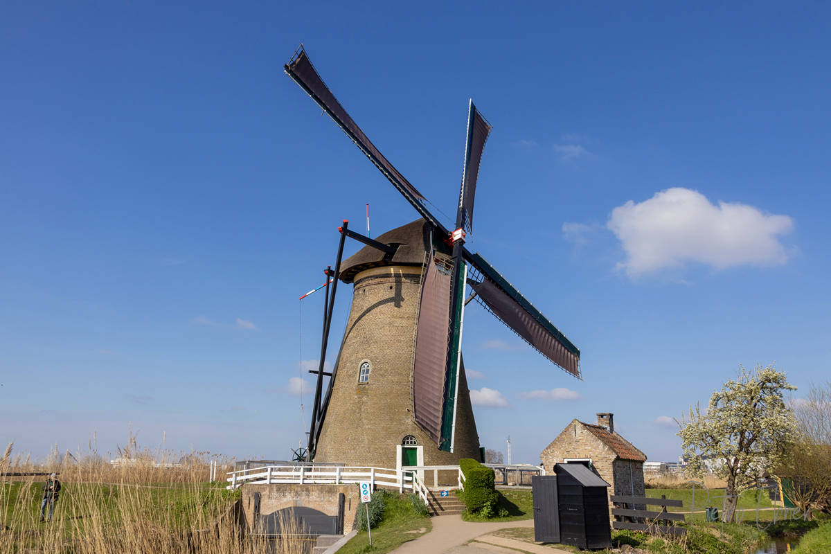 Kinderdijk windmills