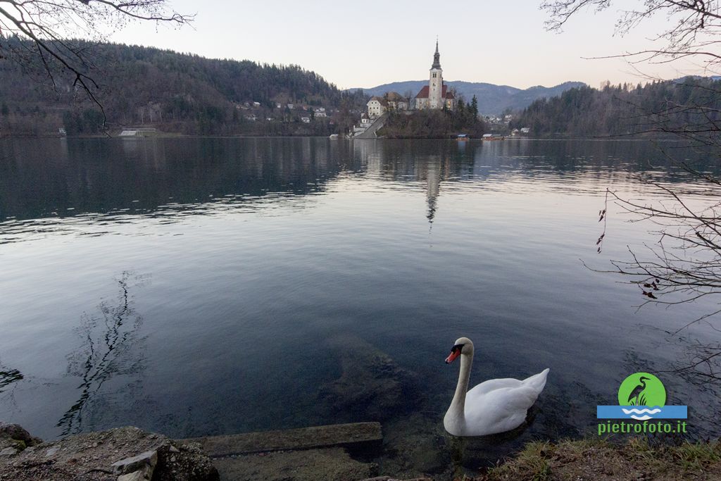 Lago di Bled in Slovenia