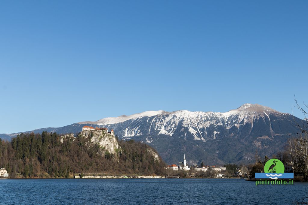 Lago di Bled in Slovenia