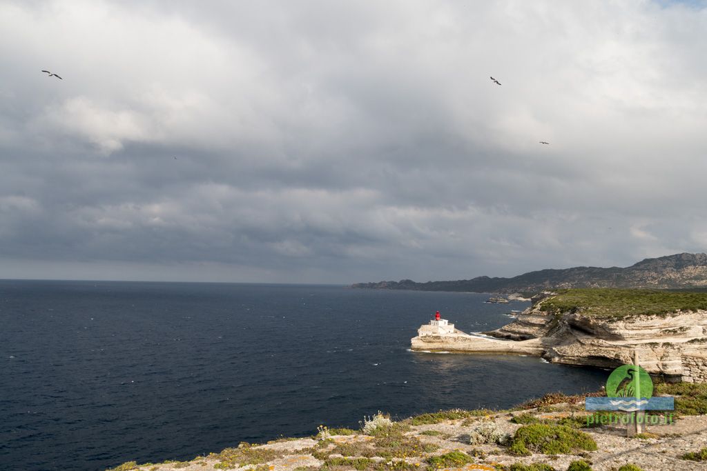 Lo stretto di Bonifacio in Corsica