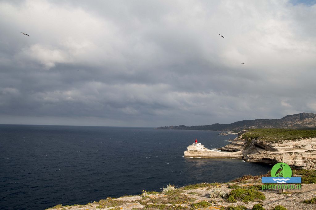 Lo stretto di Bonifacio in Corsica