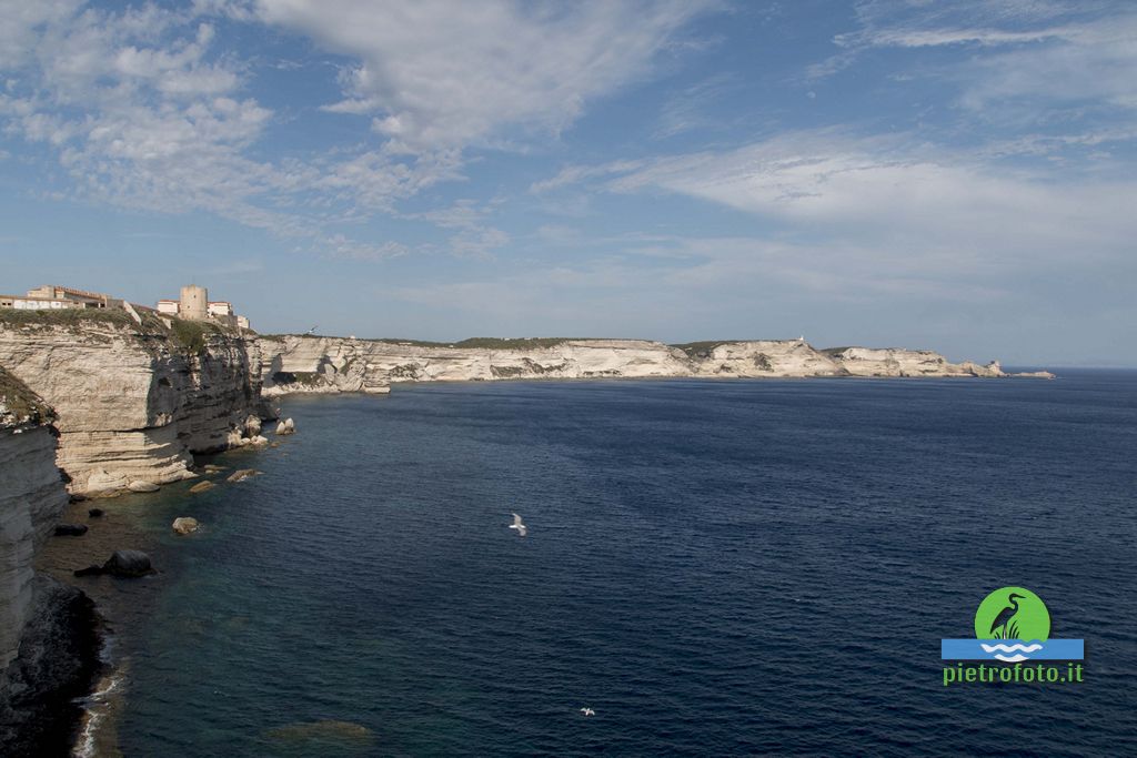 Lo stretto di Bonifacio in Corsica