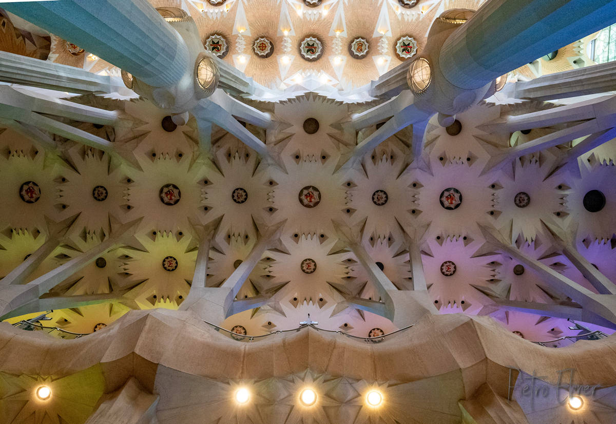 View from the bottom of the Sagrada Familia in Barcelona
