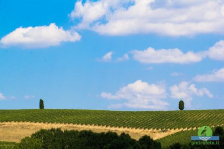 Val D'Orcia