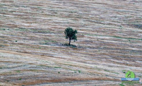 Val D'Orcia