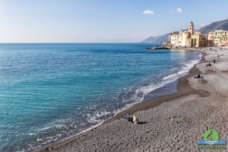 Camogli