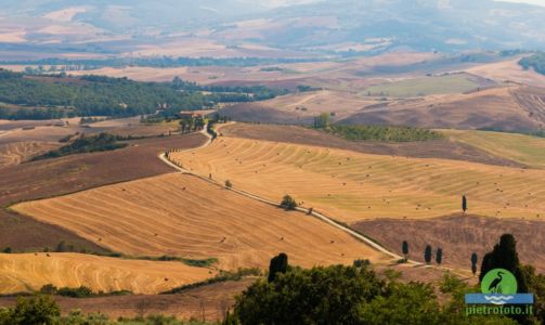 Val D'Orcia