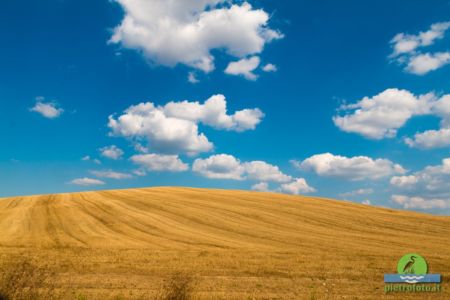 Val D'Orcia