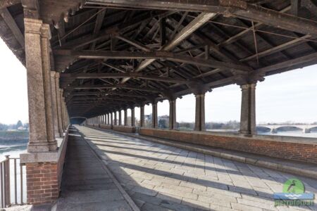 Pavia il ponte coperto