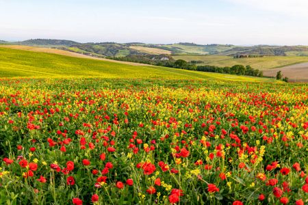 Val D Orcia