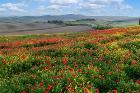 Val D Orcia