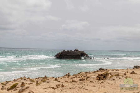 boa vista shipwreck