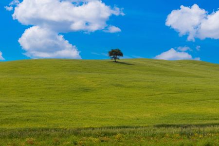 Val D Orcia