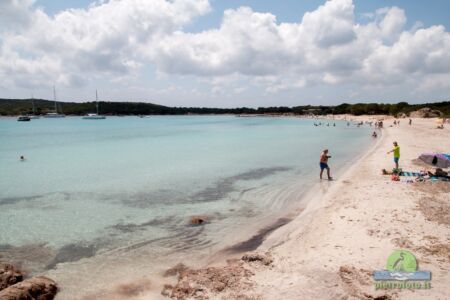 Beach in Corse