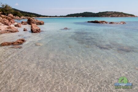 Beach in Corse