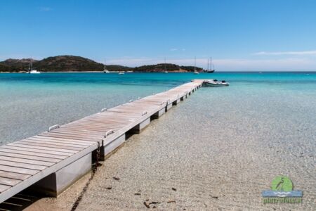 Beach in Corse