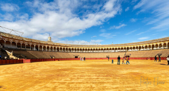 Plaza de toros