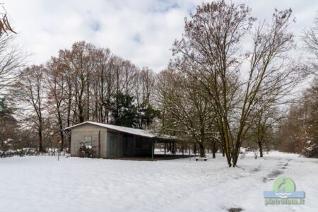 Neve a Tolcinasco