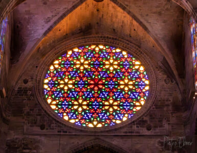 The cathedral of Palma de Maiorca
