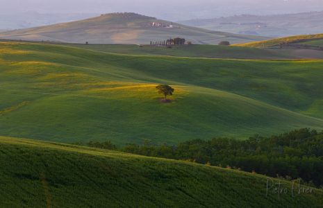 Paesaggio verde della Val D Orcia