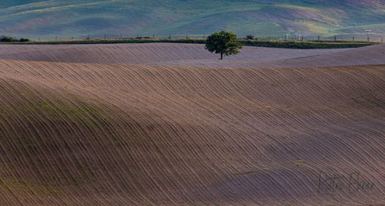 Val D Orcia