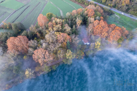 Nebbia sull Adda