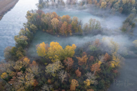 Nebbia sull Adda