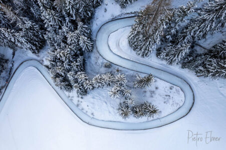 Bird's eye by drone of trees in the snow 