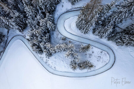 alberi dall alto sulla neve