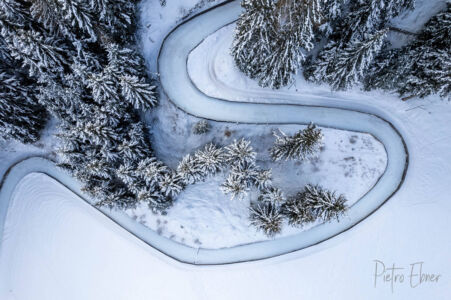 alberi dall alto sulla neve