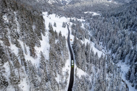 alberi dall alto sulla neve