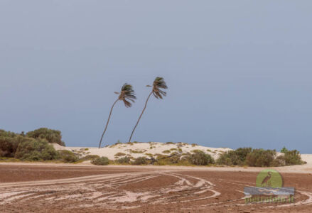 Cabo Verde