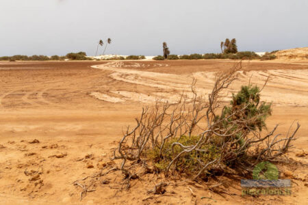 Cabo Verde