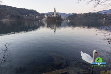 Lago di Bled in Slovenia