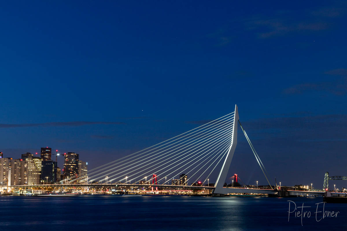 Rotterdam skyline