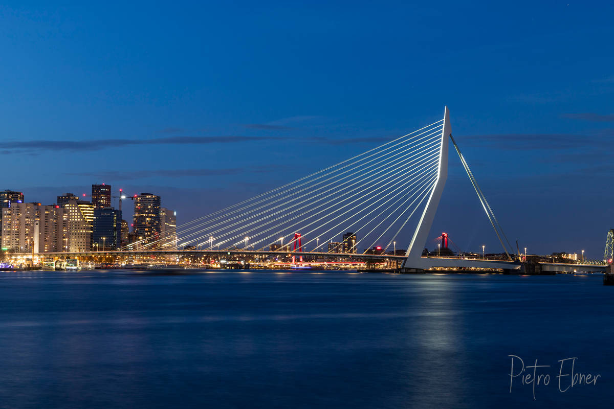 The Erasmus bridge in Rotterdam