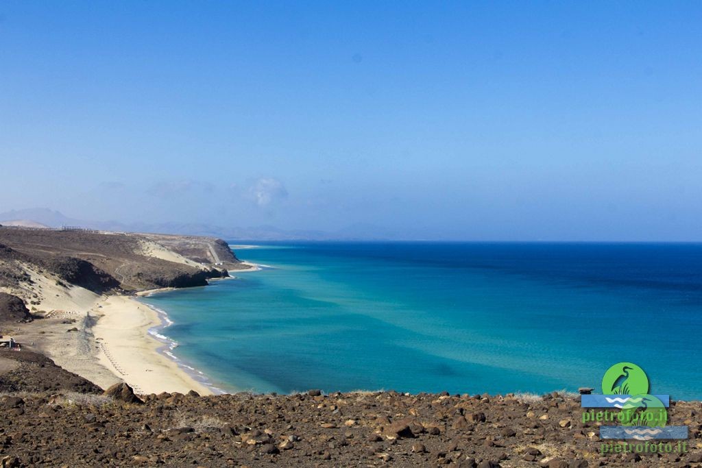 Fuerteventura